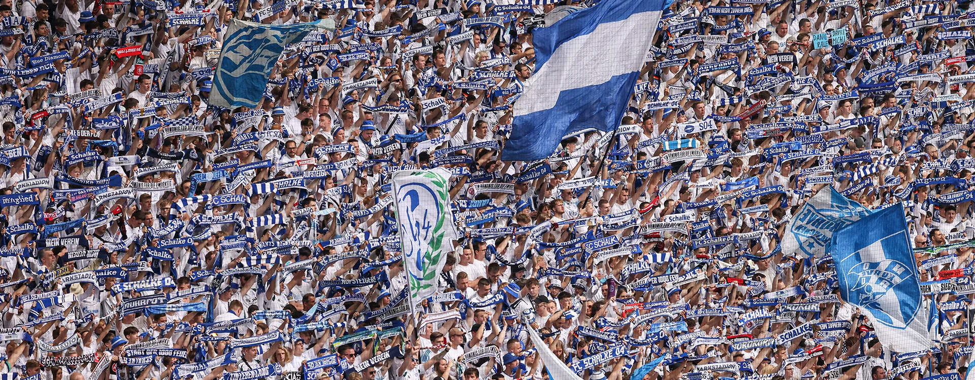 FC Schalke 04-Fans, die auf der Tribüne Fahnen und Schals ihrer Mannschaft hochhalten. (Foto)