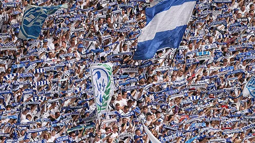 FC Schalke 04-Fans, die auf der Tribüne Fahnen und Schals ihrer Mannschaft hochhalten. (Foto)